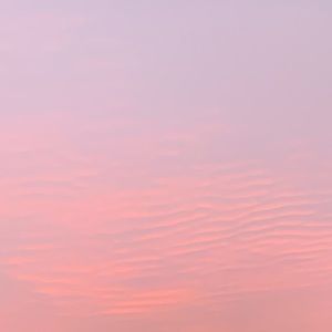 Meet your Posher, Ivy